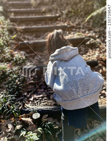 Forest path covered with fallen leaves and sunlight filtering through the trees 130739647