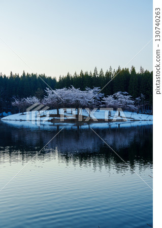 250426 津南町中野的櫻花 130740263