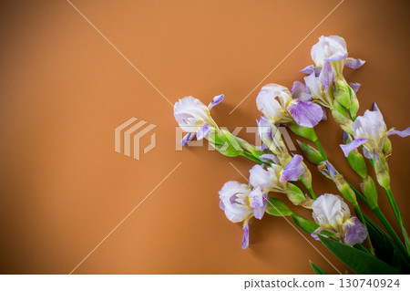 Spring irises in a minimalist composition on a brown background Spring irises in a minimalist composition on a brown background 130740924