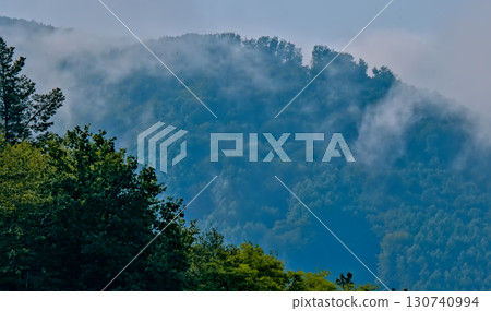 Hill with Trees in Fog Hill with Trees in Fog 130740994