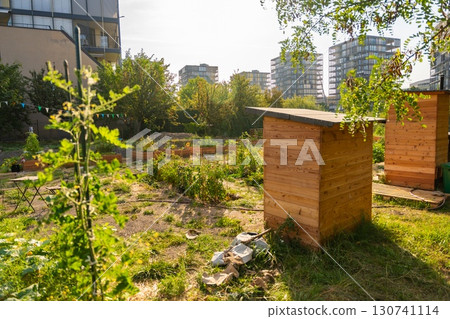 Urban community garden in Zizkov, Prague, Czech Republic. Sustainable green space with planting beds surrounded by modern apartment buildings in the heart of the city 130741114