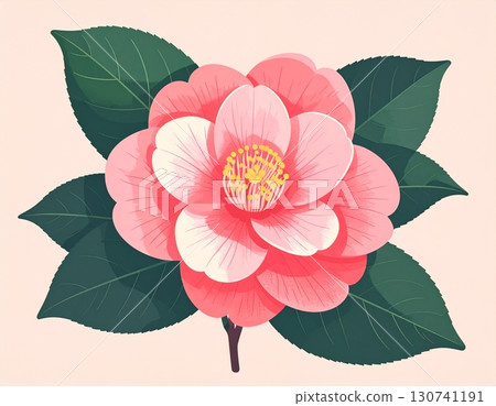 Camellia simple illustration 130741191