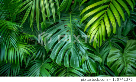 Lush green tropical leaves create rich, natural backdrop, perfect for jungle-inspired designs or nature-themed projects. Ideal for promoting eco-friendly brands, wellness, and tropical aesthetics Lush green tropical leaves create rich, natural backdrop, perfect for jungle-inspired designs or nature-themed projects. Ideal for promoting eco-friendly brands, wellness, and tropical aesthetics 130741375