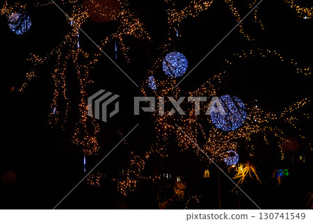 Decorated tree with multi-colored Christmas lights in city park at night Decorated tree with multi-colored Christmas lights in city park at night 130741549