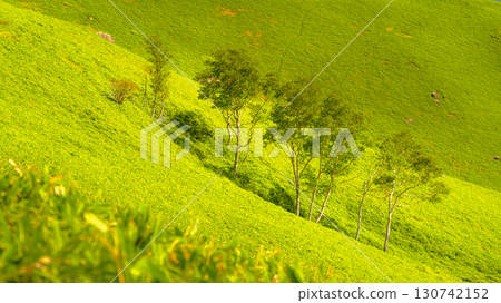 Nagano Japan Highland Landscape with Lush Green Hills Nagano Japan Highland Landscape with Lush Green Hills 130742152