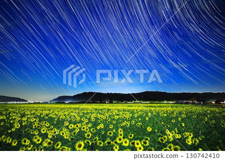 向日葵田和星軌 130742410