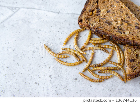 Yellow mealwurm near the bread. Dried worms eating as food or cooked insect meat on the stone background. Good source of protein. Yellow mealwurm near the bread. Dried worms eating as food or cooked insect meat on the stone background. Good source of protein. 130744136