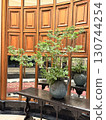 Houseplants displayed in the entrance lobby 130744254