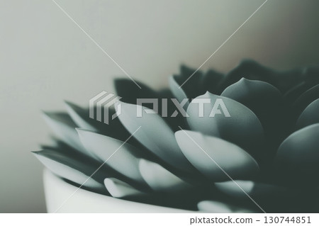 Succulent plant arrangement in a minimalistic setting with soft lighting 130744851