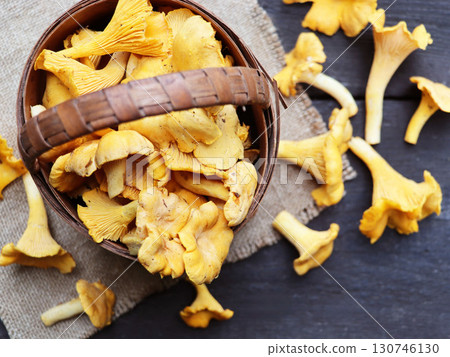Raw wild chanterelles mushrooms in basket on old rustic wooden background. Organic Fresh chanterelle on a wood table. Raw wild chanterelles mushrooms in basket on old rustic wooden background. Organic Fresh chanterelle on a wood table. 130746130