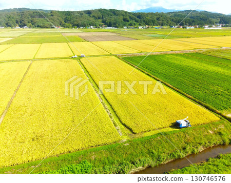 Aerial view of rice harvesting in Esashi, Hokkaido in early autumn Aerial view of rice harvesting in Esashi, Hokkaido in early autumn 130746576