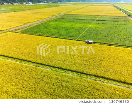 Aerial view of rice harvesting in Esashi, Hokkaido in early autumn Aerial view of rice harvesting in Esashi, Hokkaido in early autumn 130746580