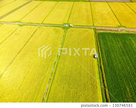 Aerial view of rice harvesting in Esashi, Hokkaido in early autumn Aerial view of rice harvesting in Esashi, Hokkaido in early autumn 130746581