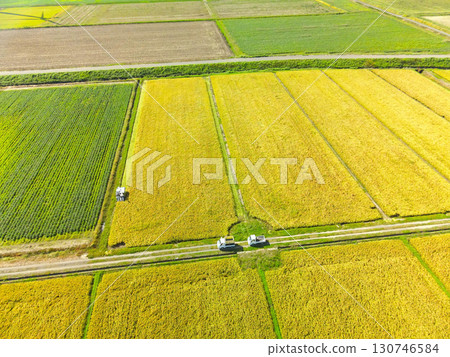 Aerial view of rice harvesting in Esashi, Hokkaido in early autumn 130746584