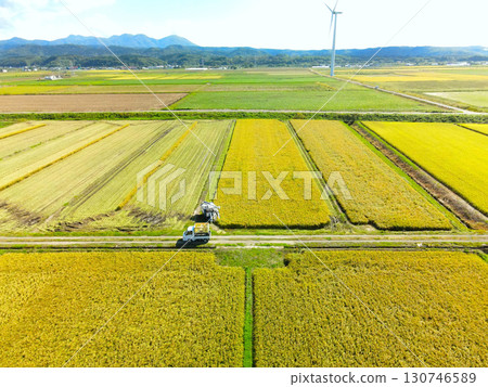 Aerial view of rice harvesting in Esashi, Hokkaido in early autumn 130746589