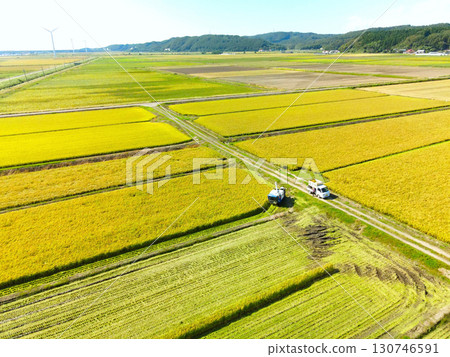 Aerial view of rice harvesting in Esashi, Hokkaido in early autumn 130746591