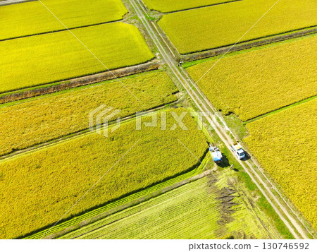 Aerial view of rice harvesting in Esashi, Hokkaido in early autumn 130746592