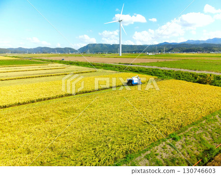 Aerial view of rice harvesting in Esashi, Hokkaido in early autumn 130746603