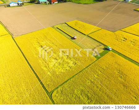 Aerial view of rice harvesting in Assabe Town, Hokkaido in early autumn 130746666