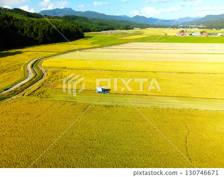 Aerial view of rice harvesting in Assabe Town, Hokkaido in early autumn Aerial view of rice harvesting in Assabe Town, Hokkaido in early autumn 130746671