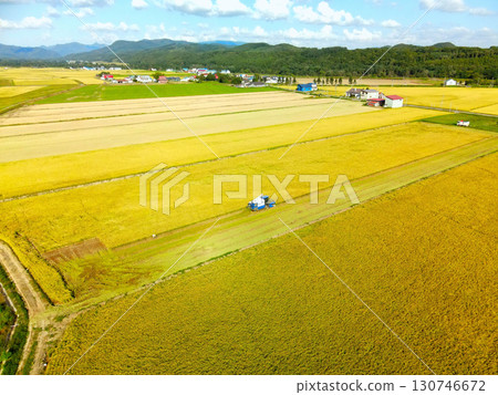 Aerial view of rice harvesting in Assabe Town, Hokkaido in early autumn Aerial view of rice harvesting in Assabe Town, Hokkaido in early autumn 130746672