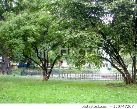Serene Green Space in Krakows Parkland Inviting Leisurely Strolls and Peaceful Reflection Serene Green Space in Krakows Parkland Inviting Leisurely Strolls and Peaceful Reflection 130747207