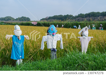 Scarecrow and Bird Chaser 130747278