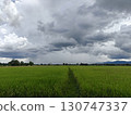 rain in background 130747337