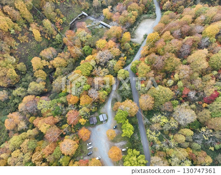 [Aerial photo of Teruha Gorge] Autumn leaves in the forest 130747361