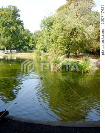 Tranquil Moments by the Lake in Poznans Serene Park on a Sunny Afternoon 130747423