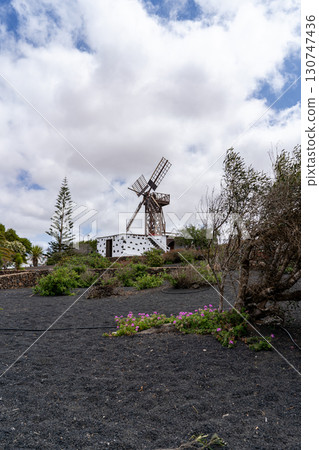 A rustic windmill stands prominently against a partly cloudy sky in Teguise, Lanzarote, surrounded by lush vegetation and black volcanic soil. A rustic windmill stands prominently against a partly cloudy sky in Teguise, Lanzarote, surrounded by lush vegetation and black volcanic soil. 130747436