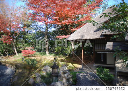 The Japanese garden Early morning view of the Japanese garden as the leaves begin to turn red (Autumn leaves in a Japanese garden in Kyoto) The Japanese garden Early morning view of the Japanese garden as the leaves begin to turn red (Autumn leaves in a Japanese garden in Kyoto) 130747652