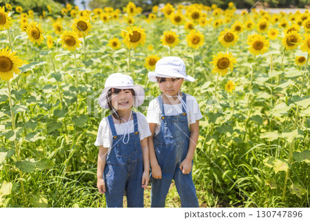 暑假期間，孩子們在向日葵田裡玩耍 130747896