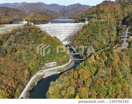 [Aerial view of Yagisawa Dam and Lake Okutone] Autumn foliage of the mountains and lake 130748192