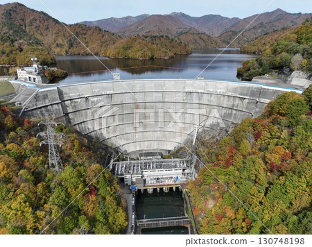 [Aerial view of Yagisawa Dam and Lake Okutone] Autumn foliage of the mountains and lake 130748198
