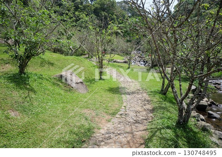 path in the garden 130748495