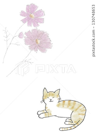 Cat and Cosmos 130748653