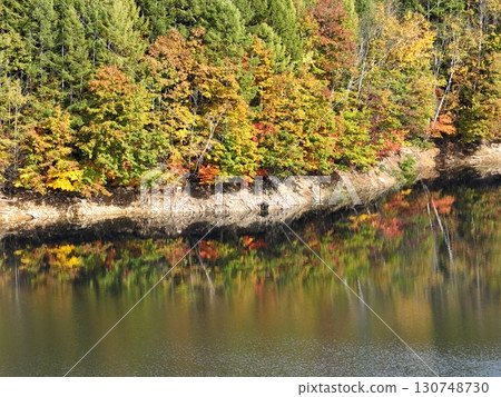 [Aerial photo of Lake Naramata in Gunma Prefecture] Autumn leaves reflected on the water surface 130748730