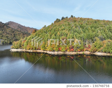 [Aerial photo of Lake Naramata in Gunma Prefecture] Autumn leaves at Lake Naramata and Naramata Dam 130748738