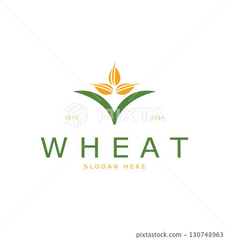 Agriculture Wheat logo template vector icon design Agriculture Wheat logo template vector icon design 130748963