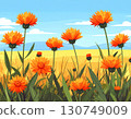 Safflower flowers 130749009