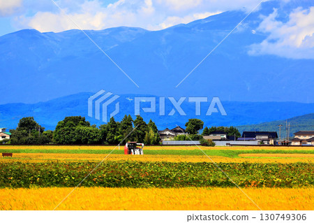 秋田的豐收景象 秋田的豐收景象 130749306