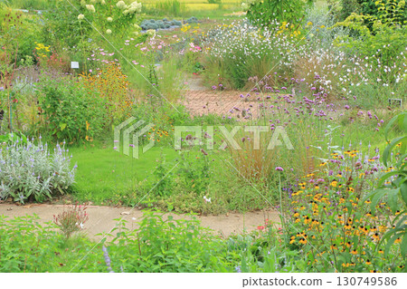 Ikeda Town Herb Station Flower and Herb Garden Ikeda Town Herb Station Flower and Herb Garden 130749586