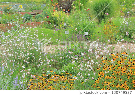 池田町藥草站花與藥草園 130749587