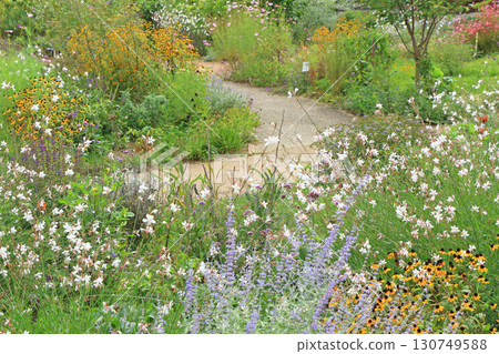 池田町藥草站花與藥草園 130749588