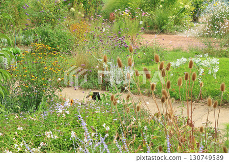 池田町藥草站花與藥草園 130749589