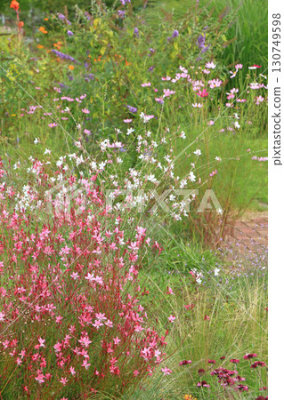 Ikeda Town Herb Station Flower and Herb Garden 130749598