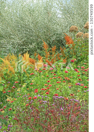 Ikeda Town Herb Station Flower and Herb Garden 130749599