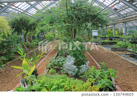 Tamachi Herb Station greenhouse Tamachi Herb Station greenhouse 130749605