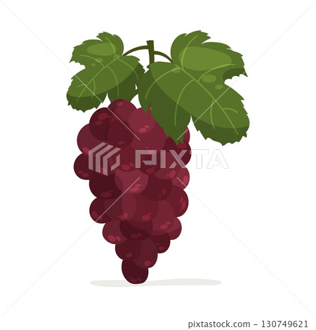 Bunch of purple grapes with green leaves 130749621
